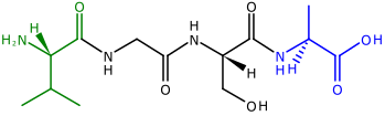 File:Tetrapeptide structural formulae.svg