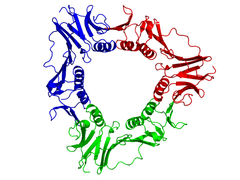 File:1CZD.png