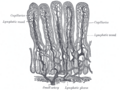 Thumbnail for version as of 17:28, 18 May 2026