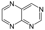 File:Pteridin - Pteridine.svg