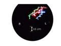 Thumbnail for version as of 13:38, 8 June 2026