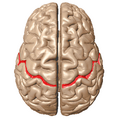 Thumbnail for version as of 13:41, 8 June 2026