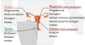 Thumbnail for version as of 15:54, 29 May 2026