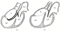 Thumbnail for version as of 17:28, 18 May 2026