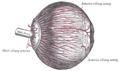 Thumbnail for version as of 17:28, 18 May 2026