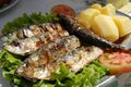 Grilled Sardines