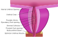 Thumbnail for version as of 20:26, 18 May 2026