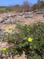 Thumbnail for version as of 22:34, 8 June 2026