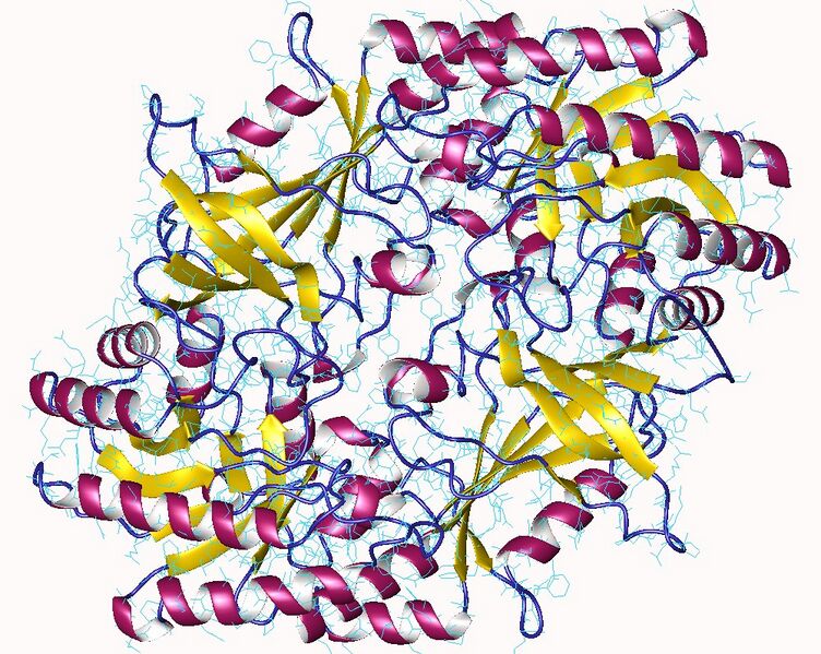 File:1d7k.jpg