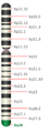 Thumbnail for version as of 13:40, 8 June 2026