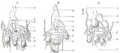 Thumbnail for version as of 17:28, 18 May 2026