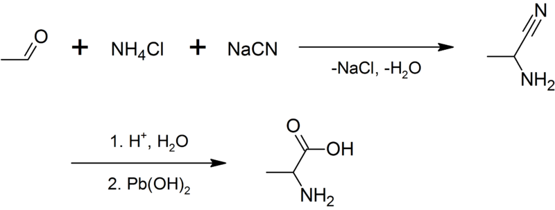 File:Synthesis of alanine - 1.png