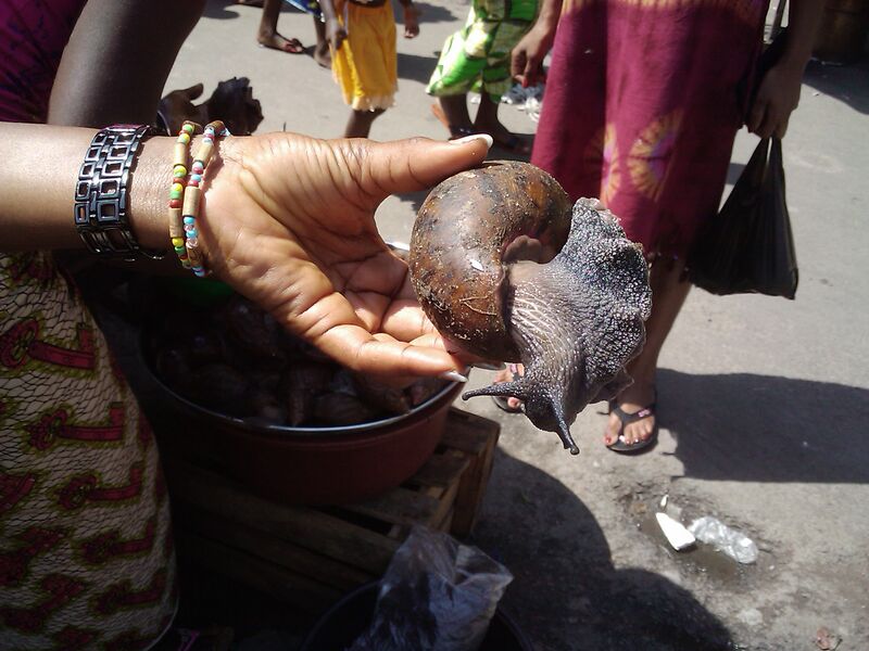 File:2010-07-18 10.39.52 Abidjan escargot.jpg