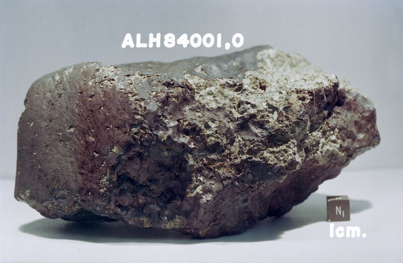 File:ALH84001.jpg