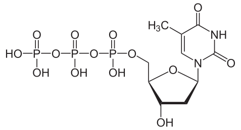 File:Desoxythymidintriphosphat protoniert.svg