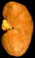 Thumbnail for version as of 03:21, 5 June 2026