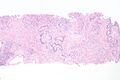 Thumbnail for version as of 22:32, 8 June 2026