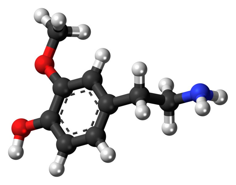 File:3-Methoxytyramine 3D ball.png