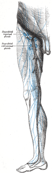 File:Gray610.png