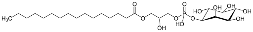 File:Lysophosphatidylinositol.svg