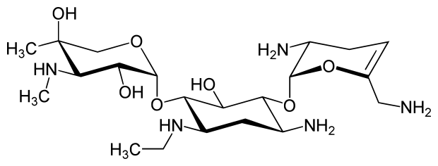 File:Netilmicin structure.svg