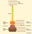 Thumbnail for version as of 22:27, 8 June 2026