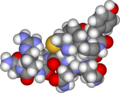 Vasopressin