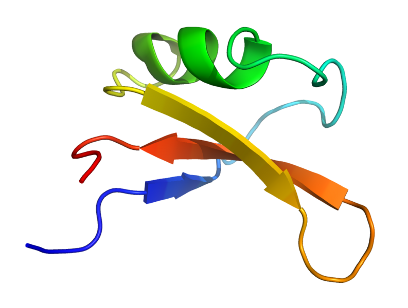 File:Brazzeinmj.png