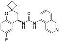 Thumbnail for version as of 16:41, 21 May 2026
