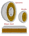Thumbnail for version as of 03:21, 5 June 2026