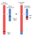 Thumbnail for version as of 03:24, 5 June 2026