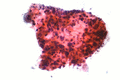 Thumbnail for version as of 12:51, 29 May 2026