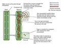 Thumbnail for version as of 22:32, 8 June 2026