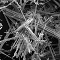 Thumbnail for version as of 19:20, 4 June 2026