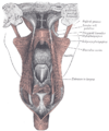 Thumbnail for version as of 17:28, 18 May 2026