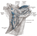Thumbnail for version as of 17:27, 18 May 2026
