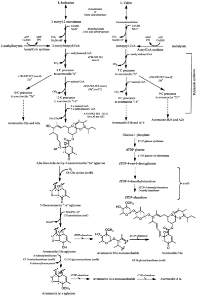 File:EmamectinBiosynth.png