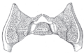 Thumbnail for version as of 17:27, 18 May 2026
