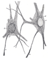 Thumbnail for version as of 17:28, 18 May 2026
