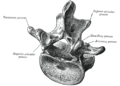Thumbnail for version as of 17:28, 18 May 2026