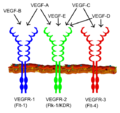 Thumbnail for version as of 01:20, 2 June 2026