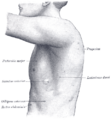 Thumbnail for version as of 17:28, 18 May 2026