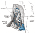 Thumbnail for version as of 17:28, 18 May 2026