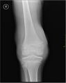 Thumbnail for version as of 03:24, 5 June 2026