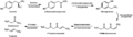 Thumbnail for version as of 22:37, 8 June 2026