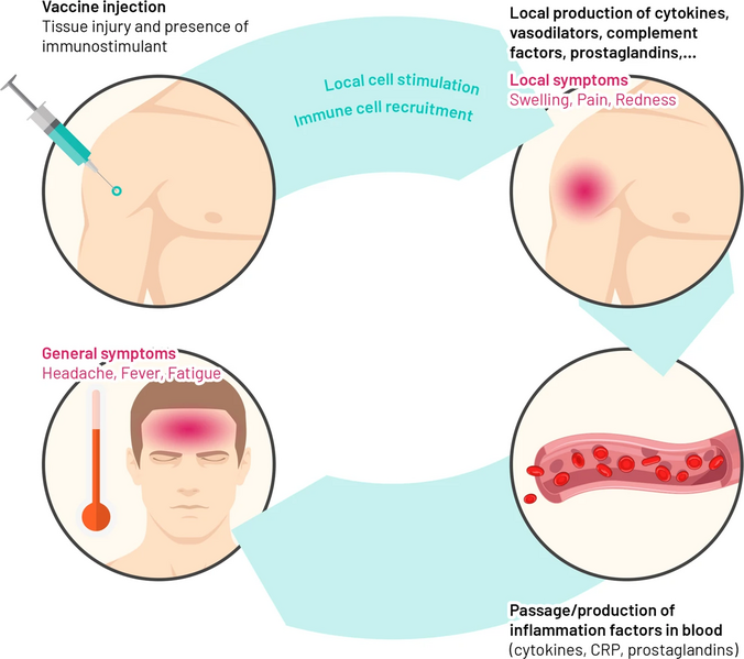 File:41541 2019 132 Fig1 HTML.webp