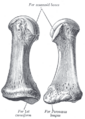 Thumbnail for version as of 17:28, 18 May 2026