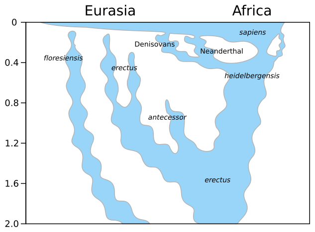 File:Homo-Stammbaum, Version Stringer-en.svg