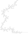 Thumbnail for version as of 21:08, 21 May 2026