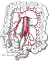 Thumbnail for version as of 17:27, 18 May 2026
